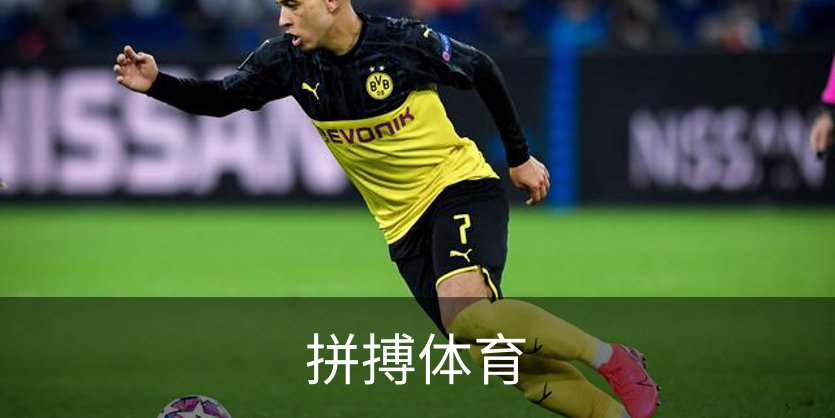 拼搏体育介绍