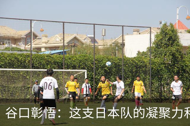 谷口彰悟：这支日本队的凝聚力和团队精神，是我生涯见过最强的